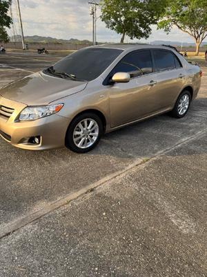 Toyota Corolla 2010