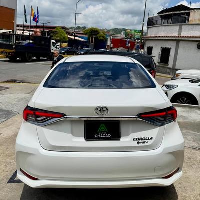 Toyota Corolla 2025
