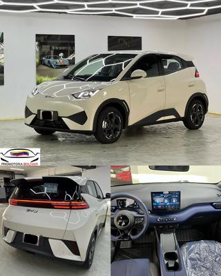 BYD Seagull 2025