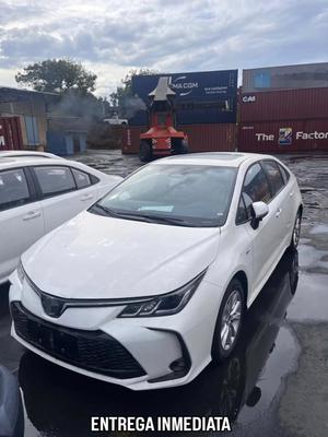 Toyota Corolla 2025
