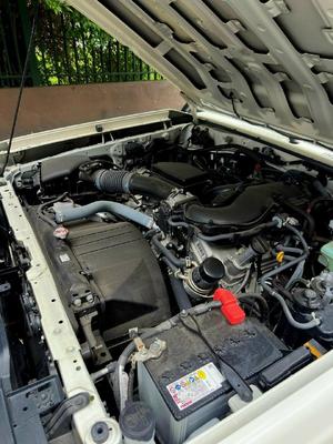 Toyota Land Cruiser (Hembrita) LX V6 2024