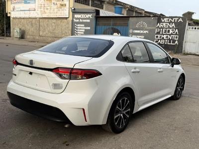 Toyota Levin 2023