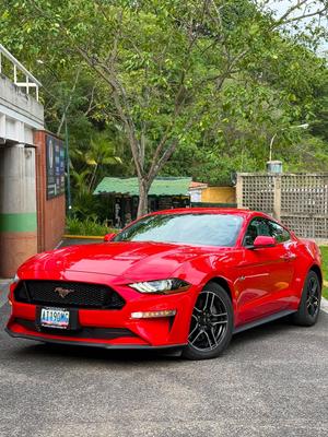 Ford Mustang GT Fifty Five Year 2020