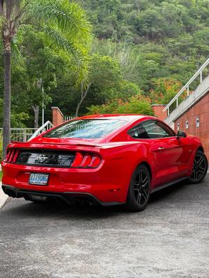 Ford Mustang GT Fifty Five Year 2020