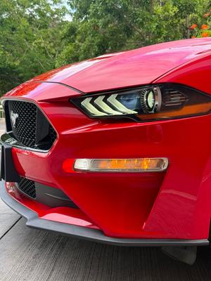 Ford Mustang GT Fifty Five Year 2020