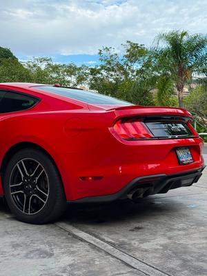 Ford Mustang GT Fifty Five Year 2020